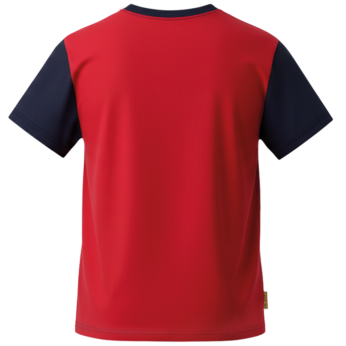 Polera Polo Pre-Basica m/c Lincoln Academy