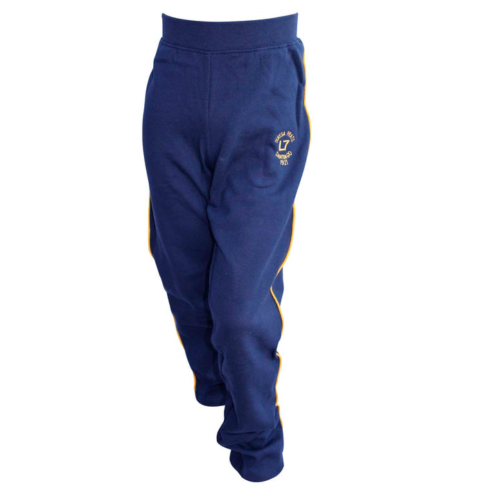 Ropa Deportiva Buzos Fabricacion Chilena Pantalon Buzo Niña